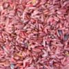 Kids Kabinet Speelrijst dino mix (500 gram)