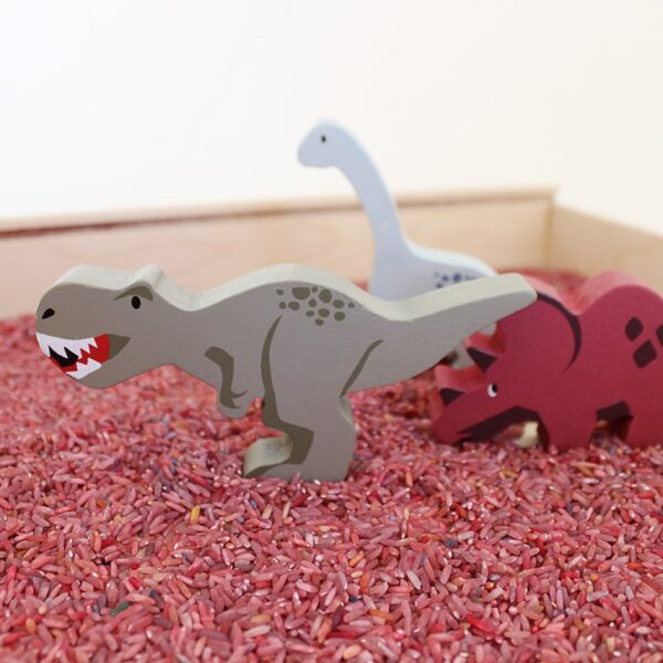 Kids Kabinet Speelrijst dino mix (500 gram)