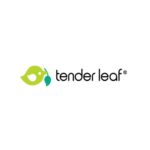 Huisdierenset Stal Met 2 Pony's Tender Leaf Toys