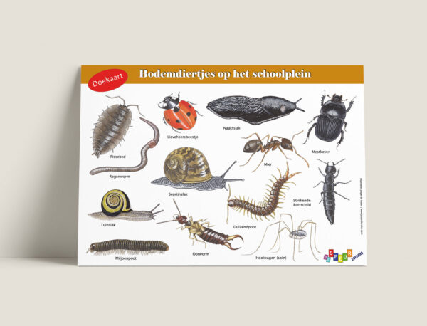 Tringa Paintings Doekaart bodemdiertjes op het schoolplein