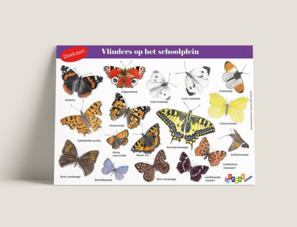 Tringa Paintings Doekaart Vlinders op het schoolplein