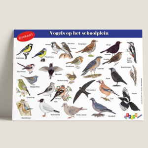 Tringa Paintings Doekaart vogels op het schoolplein
