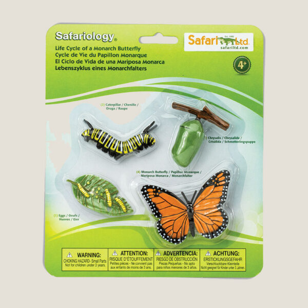 Safari LTD Levenscyclus van een vlinder