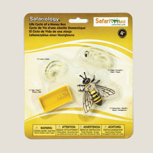 Safari LTD Levenscyclus van een honingbij