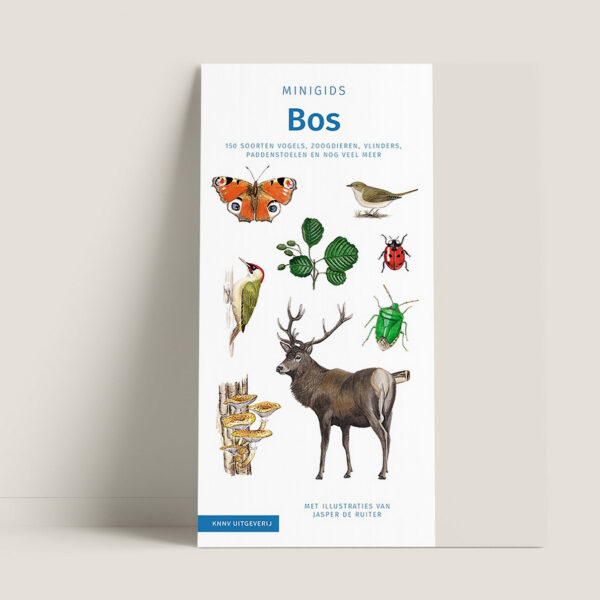 Tringa Paintings Minigids Bos
