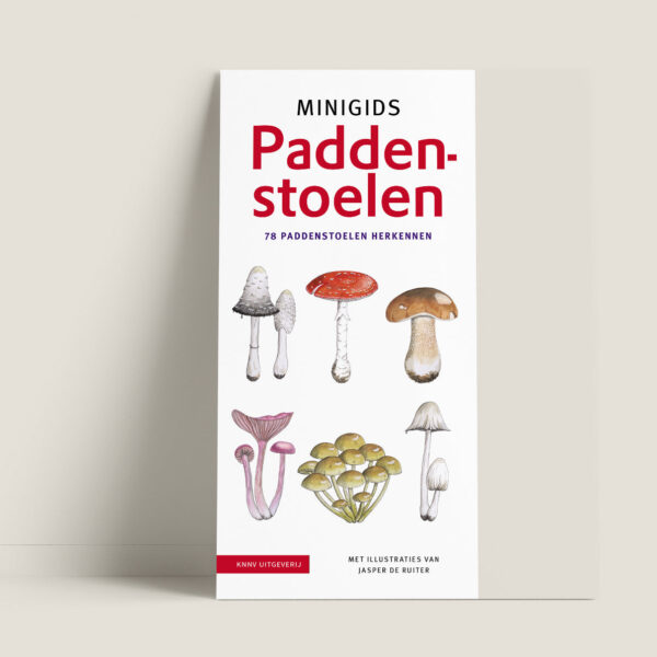 Tringa Paintings Minigids Paddenstoelen