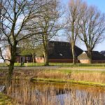Boer Boris en bakkertje Bas – Een feestelijk prentenboek vol taart, humor en avontuur - Ted van Lieshout - Gottmer