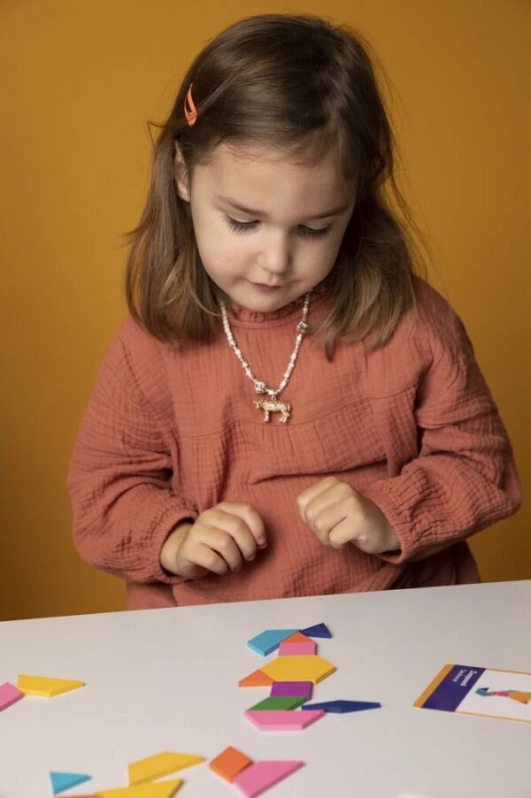 SuperBlocco Stoere Dieren Patronenpuzzel Hout  Vormenpuzzel Tangram