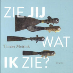 Zie jij wat ik zie? Tineke Meirink