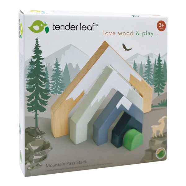 Tender Leaf Toys bergpas set