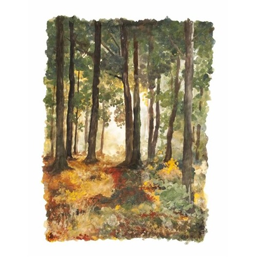 Natural Earth Paint Children's Earth Paint Kit Experience