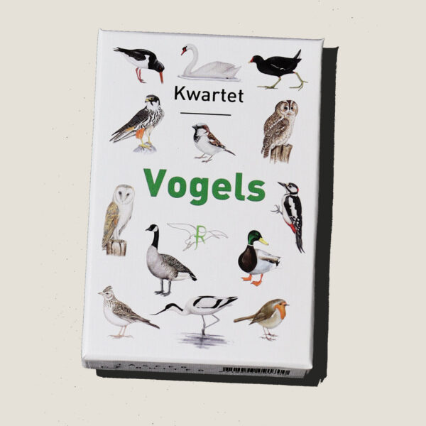 Tringa Paintings Kwartet “Vogels” - Jasper de Ruiter
