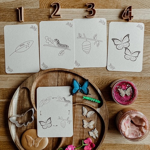 Wildebras Lifecycle Flashcards Vlinder – Educatief Montessori natuur speelgoed bij Het Speellab