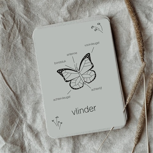 Wildebras Lifecycle Flashcards Vlinder – Educatief Montessori natuur speelgoed bij Het Speellab