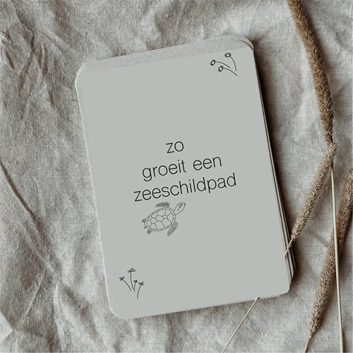Wildebras Lifecycle Flashcards Zeeschildpad – Educatief Montessori speelgoed bij Het Speellab
