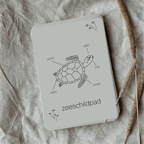 Wildebras Lifecycle Flashcards Zeeschildpad – Educatief Montessori speelgoed bij Het Speellab