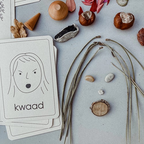 Emotie flashcards Wildebras – dubbelzijdige kaarten op duurzaam PaperWise papier