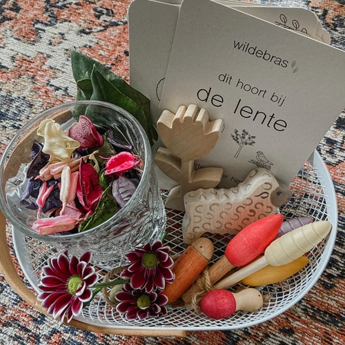 Lente flashcards Montessori speelgoed – educatieve kaarten voor de seizoenstafel van Wildebras