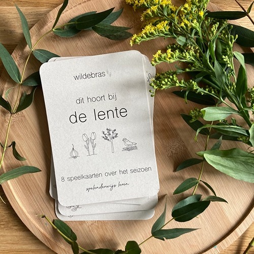 Lente flashcards Montessori speelgoed – educatieve kaarten voor de seizoenstafel van Wildebras