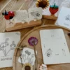 wildebras-lifecycle-flashcards-bij-lieveheersbeestje-bloemen Wildebras lifecycle flashcards bij lieveheersbeestje en bloemen – educatief Montessori materiaal voor natuuronderwijs