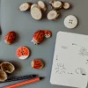 wildebras-lifecycle-flashcards-bij-lieveheersbeestje-bloemen-3 Wildebras lifecycle flashcards bij lieveheersbeestje en bloemen – educatief Montessori materiaal voor natuuronderwijs