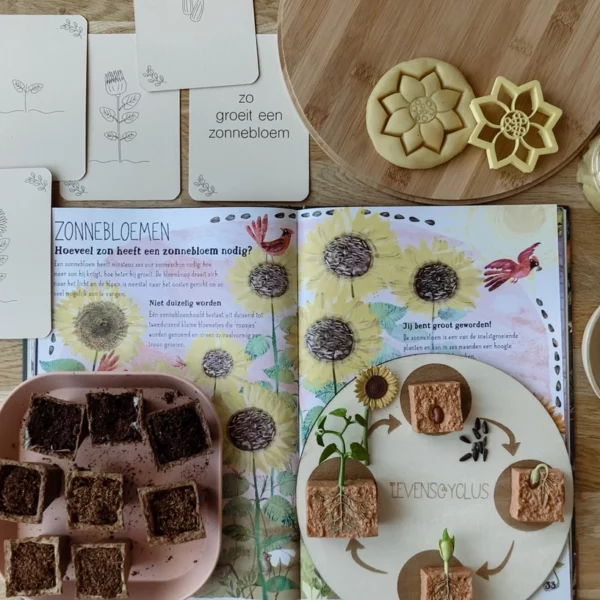 wildebras-lifecycle-flashcards-bij-lieveheersbeestje-bloemen-6 Wildebras lifecycle flashcards bij lieveheersbeestje en bloemen – educatief Montessori materiaal voor natuuronderwijs