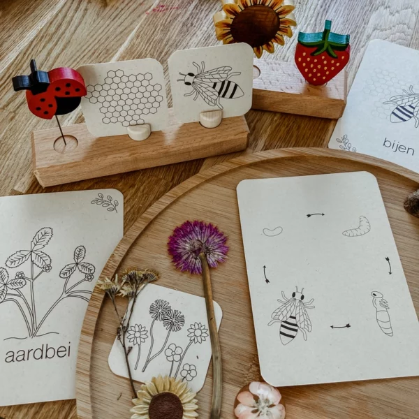 wildebras-lifecycle-flashcards-bij-lieveheersbeestje-bloemen Wildebras lifecycle flashcards bij lieveheersbeestje en bloemen – educatief Montessori materiaal voor natuuronderwijs