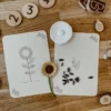 wildebras-lifecycle-flashcards-bij-lieveheersbeestje-bloemen-8 Wildebras lifecycle flashcards bij lieveheersbeestje en bloemen – educatief Montessori materiaal voor natuuronderwijs