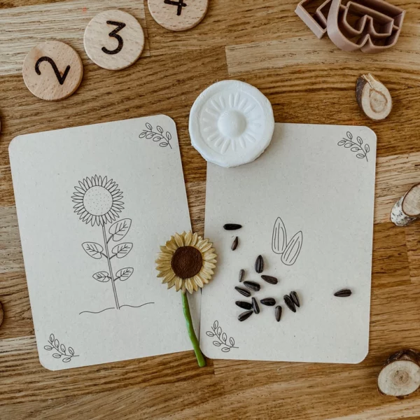 wildebras-lifecycle-flashcards-bij-lieveheersbeestje-bloemen-8 Wildebras lifecycle flashcards bij lieveheersbeestje en bloemen – educatief Montessori materiaal voor natuuronderwijs