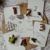 Wildebras lifecycle flashcards kikker – educatief Montessori speelgoed over de levenscyclus van de kikker