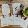 Wildebras lifecycle flashcards kikker – educatief Montessori speelgoed over de levenscyclus van de kikker
