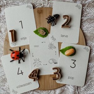 Wildebras lifecycle flashcards lieveheersbeestje – educatief Montessori speelgoed voor natuuronderwijs