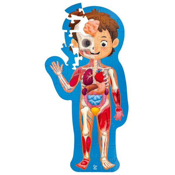 hape-human-body-puzzle-lichaamspuzzel-kinderen Het Speellab Hape Human Body Puzzle educatieve lichaamspuzzel voor kinderen