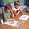 Houten takkenschijfjes voor creatief knutselen door kinderen