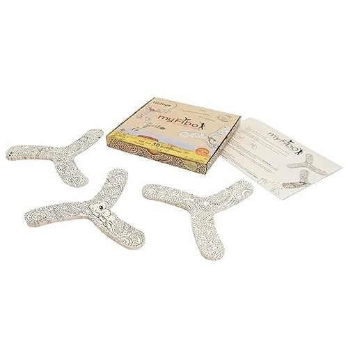 tictoys-myfibo-boemerang-voor-binnen-het-speellab TicToys MyFibo boemerang voor binnen bij Het Speellab