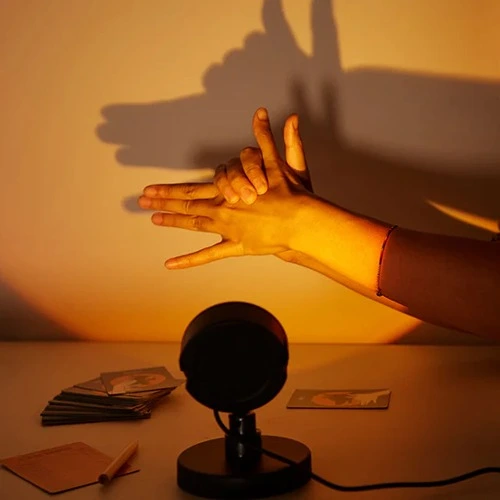 Kind speelt met Kikkerland schaduwspel figuren en zaklamp en projecteert schaduwen op de muur