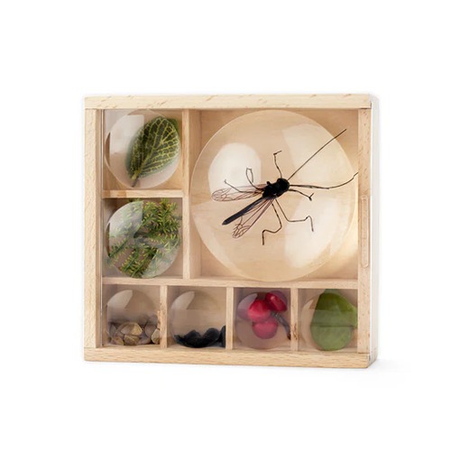Huckleberry Mijn Kleine Museum houten verzamelbox met vergrootglazen voor natuurschatten bij het speellab