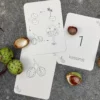Wildebras flashcards Lifecycle natuur waldorf principe