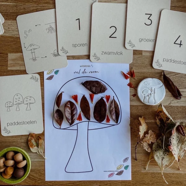 Met open einde natuur materialen herfstboom bij de flascards herfst van Wildebras