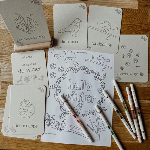 Tekenstiften en vellen met winter flashkaarten Montessori natuur en educatief speelgoed van Wildebras
